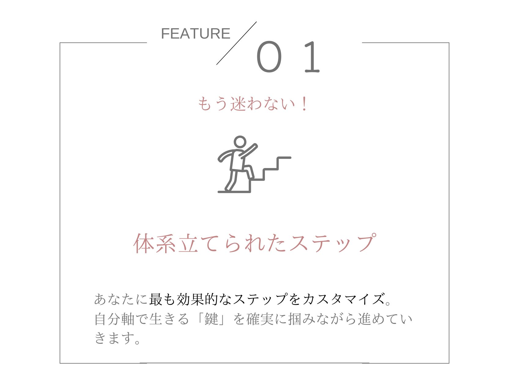 FEATURE 01 体系立てられたステップ